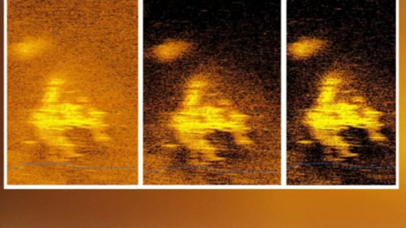Grainy images could be Earhart's plane. Photo: Deep Sea Vision